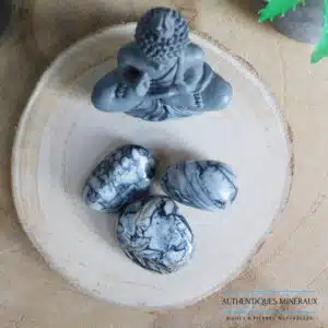 Pierre roulée Pinolite