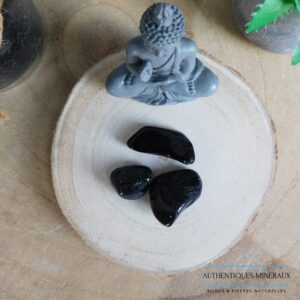 Pierre roulée Shungite