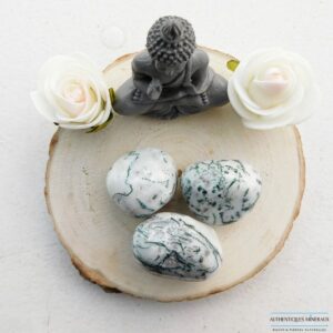 Pierre Roulée Agate Mousse – Harmonie et Renouveau