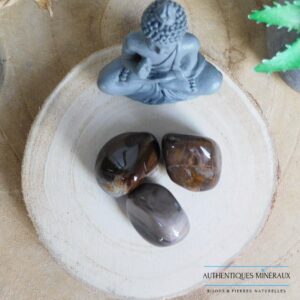 Pierre roulée Bois fossile