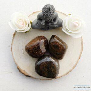 Pierre roulée Bronzite