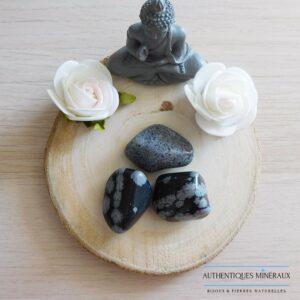 Pierre roulée Obsidienne moucheté