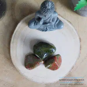 Pierre roulée Unakite – Guérison Émotionnelle
