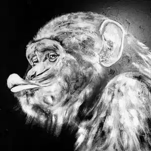 Peinture en noir et blanc représentant un chimpanzé de profil tirant la langue, sur fond sombre, art animalier.